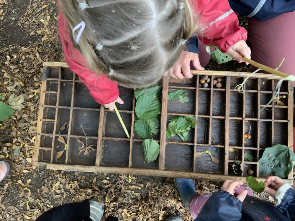 CEP September Bulletin: Upcoming events, opportunities and updates